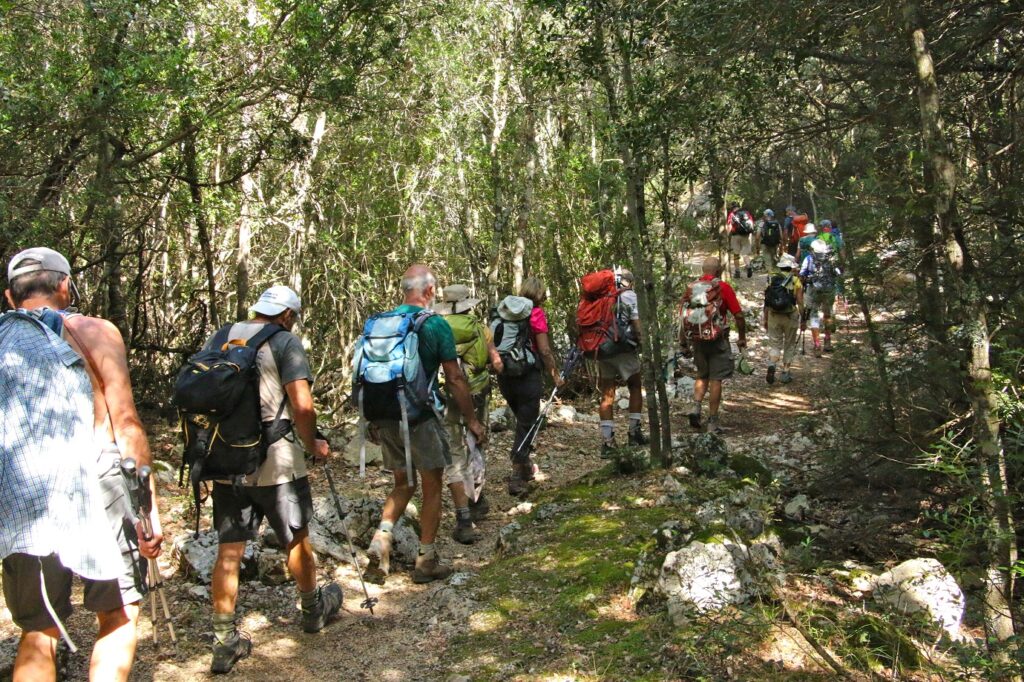 Groupe de randonneurs sur un sentier dans la forêt en Sardaigne