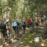 Groupe de randonneurs sur un sentier dans la forêt en Sardaigne
