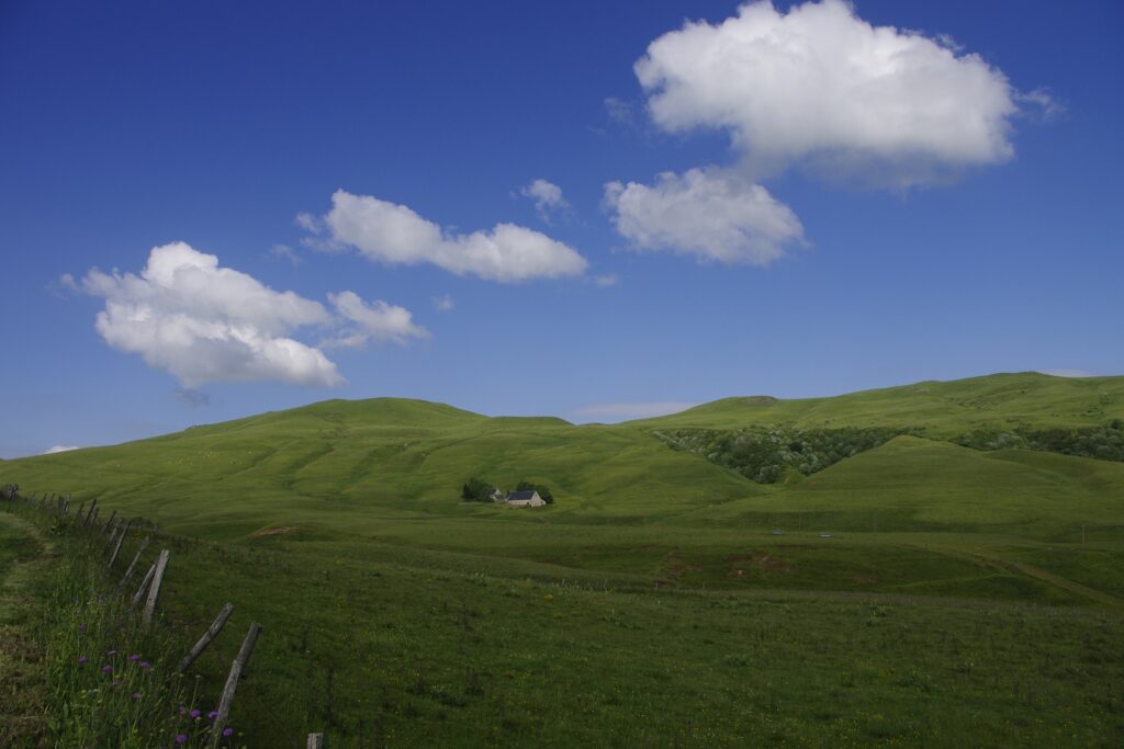 Paysage estival dans le massif central avec une grande étendue d'herbe et des sommets en fond