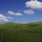 Paysage estival dans le massif central avec une grande étendue d'herbe et des sommets en fond