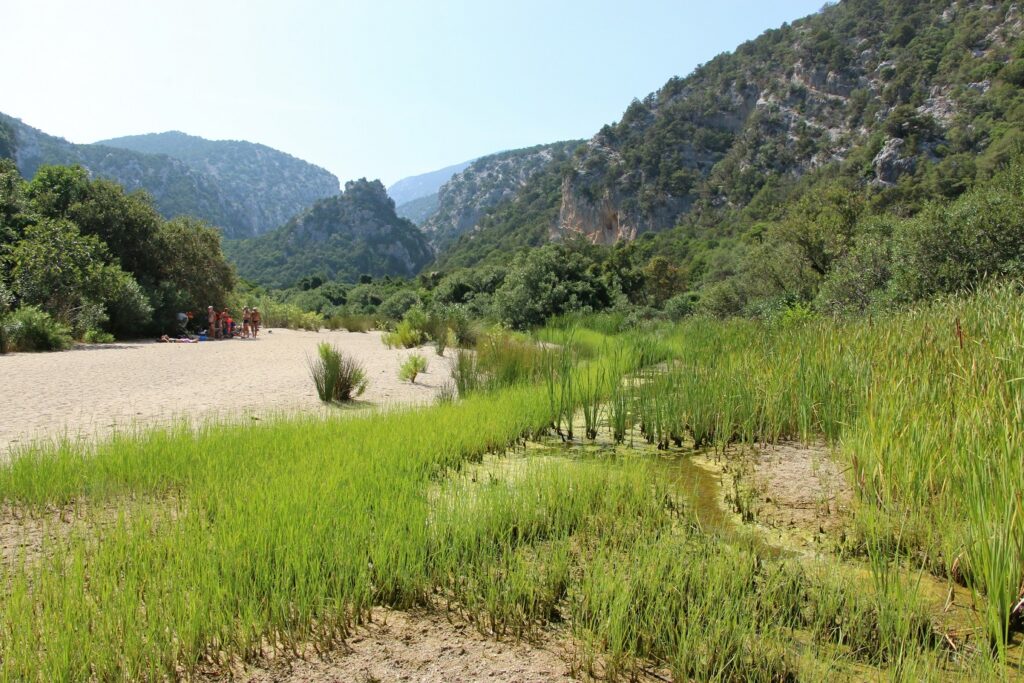 Paysage de Sardaigne avec une grande étendue d'arbres et des sommets de part et d'autre, avec en fond des sommets recouverts de beaucoup d'arbres
