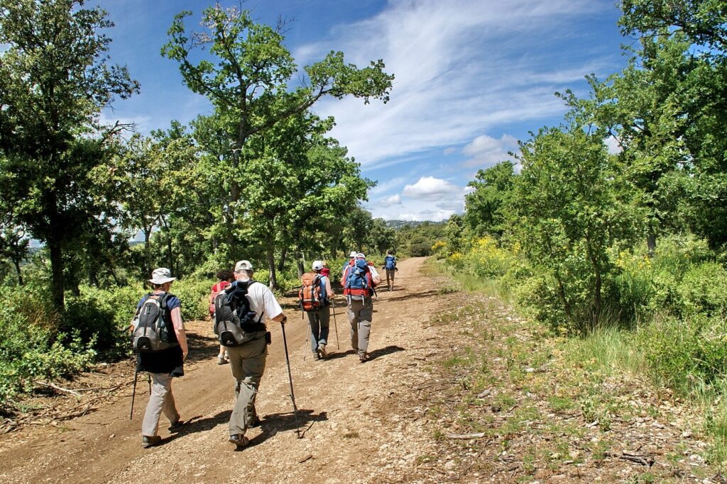 Groupe de randonneurs sur un sentier avec leur guide dans le Lubéron
