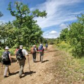 Groupe de randonneurs sur un sentier avec leur guide dans le Lubéron