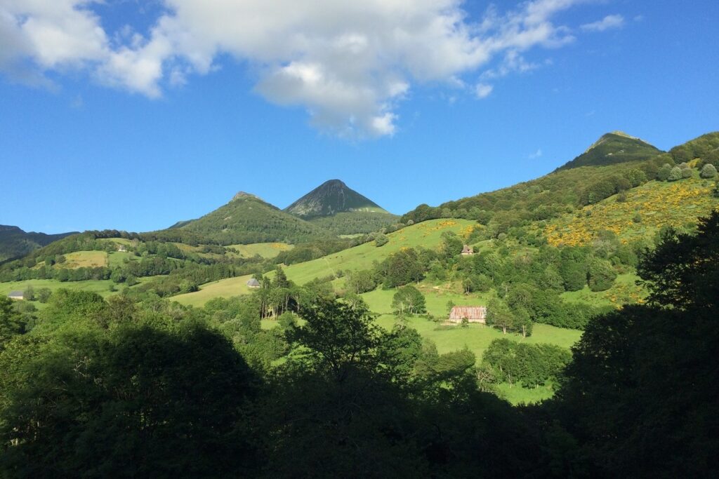 Paysage de montagne avec des sommets en fond et des arbres au premier plan