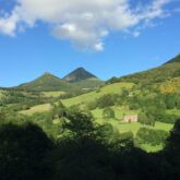 Paysage de montagne avec des sommets en fond et des arbres au premier plan
