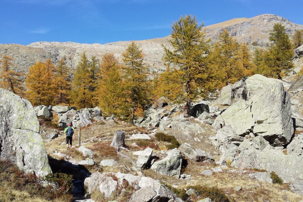Groupe de randonneurs avec leur guide dans le Mercantour sur un sentier comprenant de grosses roches