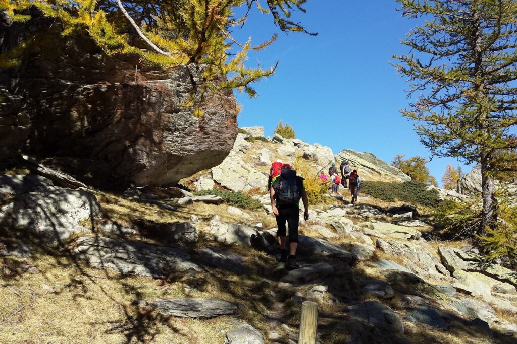 Groupe de randonneurs sur un sentier avec leur guide dans le Mercantour, ils sont sur un chemin de pierre encadré par des arbres