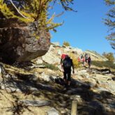 Groupe de randonneurs sur un sentier avec leur guide dans le Mercantour, ils sont sur un chemin de pierre encadré par des arbres