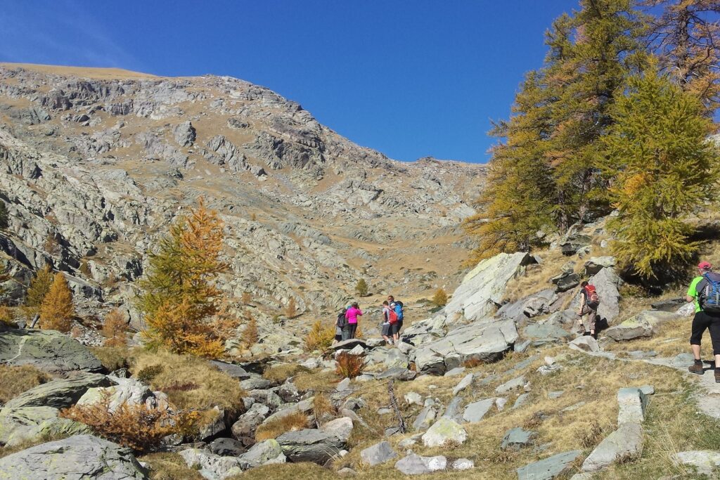 Groupe de randonneurs dans le haut Verdon en train de monter dans un sentier encadré de roches