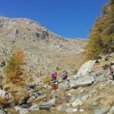 Groupe de randonneurs dans le haut Verdon en train de monter dans un sentier encadré de roches