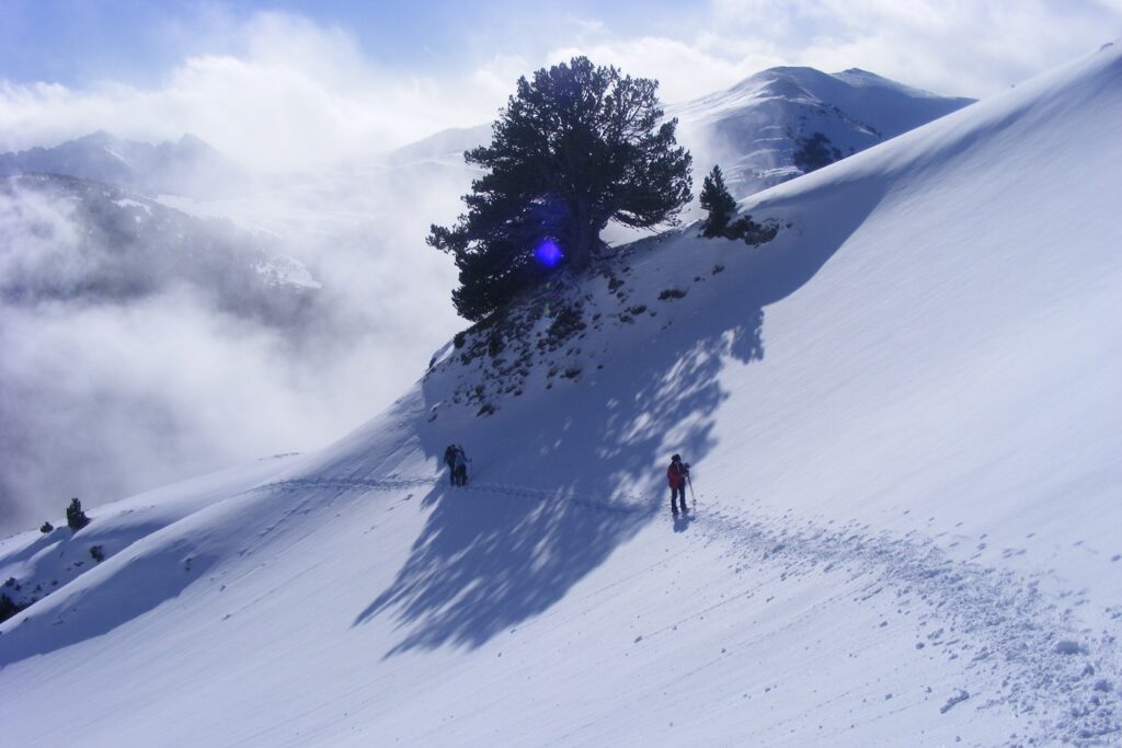 Groupe de randonneurs en raquettes avec leur guide à flanc de montagne dans la zone de la commune de Montgarri lors d'un séjour en raquette pour le nouvel an