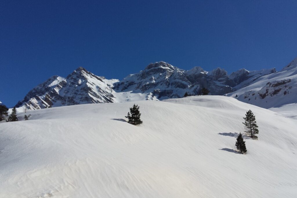 Paysage d'hiver couvert de neige à Gavarnie avec des sommets en fond et quelques arbres répartis