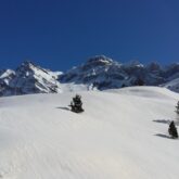 Paysage d'hiver couvert de neige à Gavarnie avec des sommets en fond et quelques arbres répartis