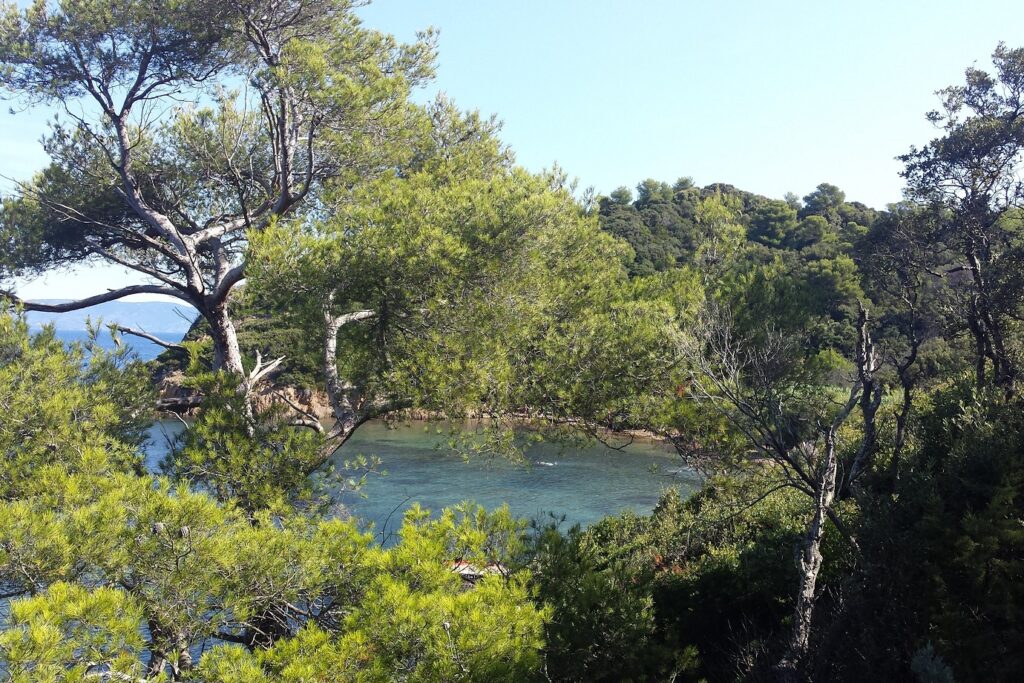 Paysage chaleureux et idyllique encadré d'arbres et avec en contrebas l'eau avec des couleurs turquoise