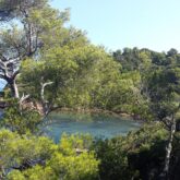Paysage chaleureux et idyllique encadré d'arbres et avec en contrebas l'eau avec des couleurs turquoise