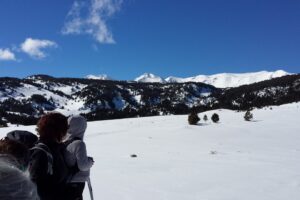 Groupe de randonneurs avec leur guide en raquettes face au paysage des Pyrénées orientales