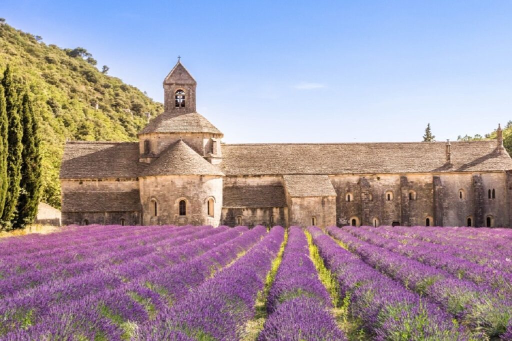 Paysage coloré du Luberon dans le village de Roussillon, on y voit un champ de lavande au premier plan et l'abbaye de Sénanque à l'arrière
