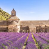 Paysage coloré du Luberon dans le village de Roussillon, on y voit un champ de lavande au premier plan et l'abbaye de Sénanque à l'arrière