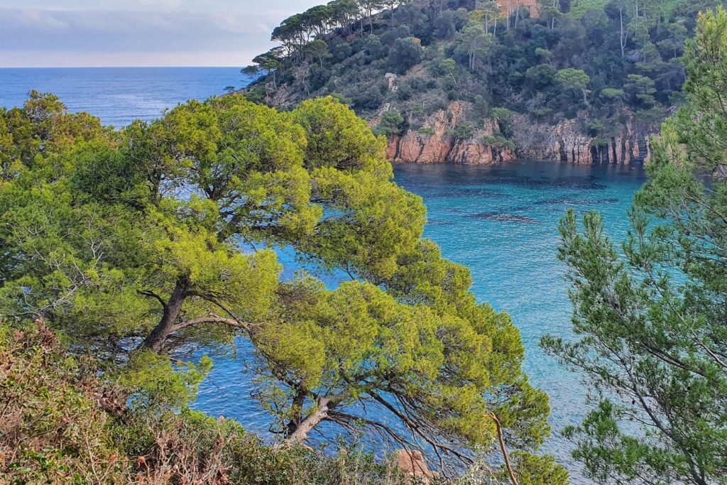 Paysage côtier en Costa Brava avec des falaises ainsi que des arbres
