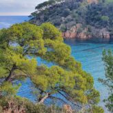 Paysage côtier en Costa Brava avec des falaises ainsi que des arbres