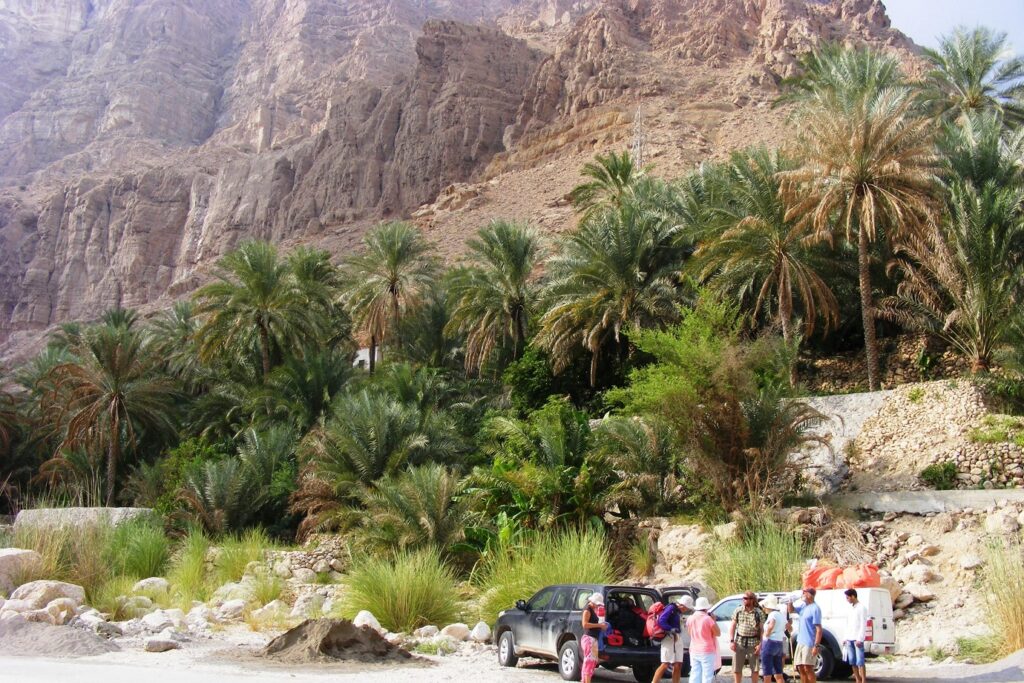 Groupe de randonneurs avec leur guide à un campement à Oman encadré de quelques palmiers ainsi que de sommets au-dessus d'eux