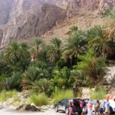 Groupe de randonneurs avec leur guide à un campement à Oman encadré de quelques palmiers ainsi que de sommets au-dessus d'eux