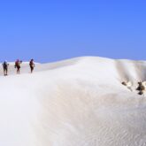 Paysage de sable blanc à Oman avec un groupe de randonneurs et leur guide qui marchent sur les dunes