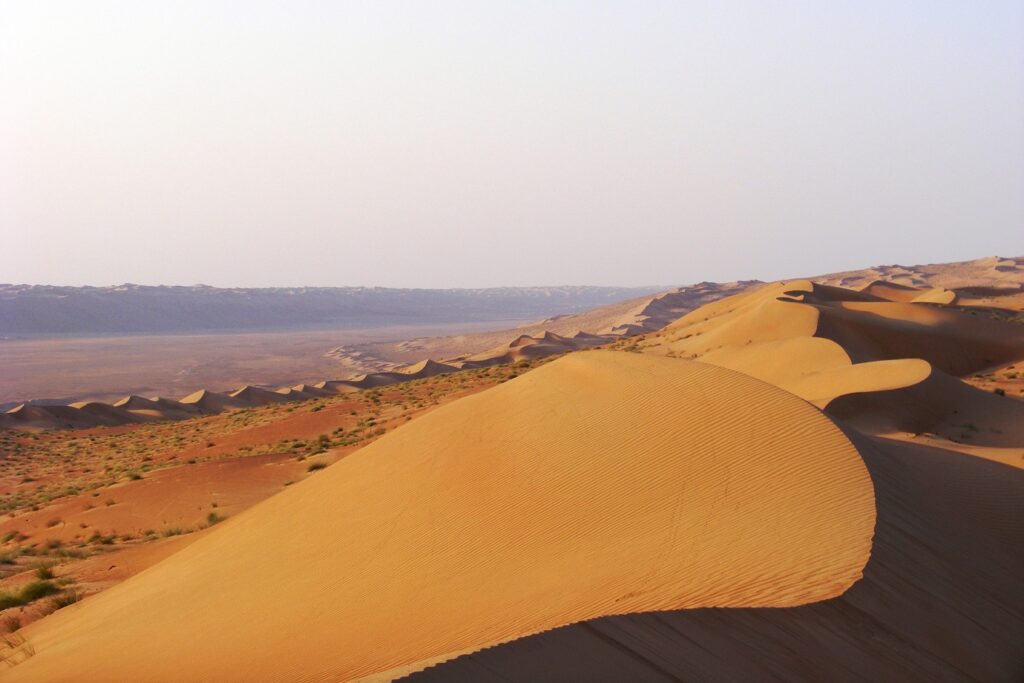 Paysage désertique à Oman éclairé par la lumière du soleil couchant, on voit des dunes et au loin un peu de végétation