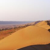 Paysage désertique à Oman éclairé par la lumière du soleil couchant, on voit des dunes et au loin un peu de végétation