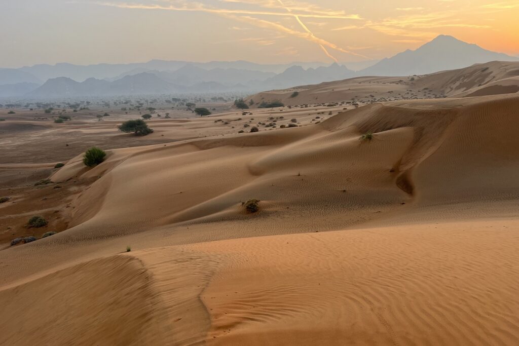 Paysage désertique avec des dunes de sable éclairé par le soleil qui se couche à Oman