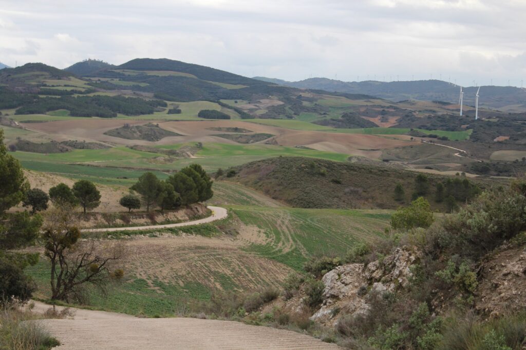 Paysage de campagne avec une piste à travers les champs et les arbres, proche de la ville de Pampelune
