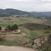 Paysage de campagne avec une piste à travers les champs et les arbres, proche de la ville de Pampelune