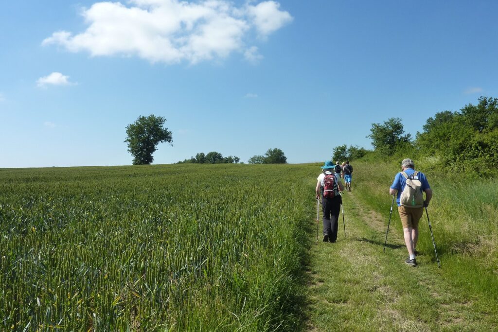 Groupe de randonneurs sur un chemin de randonnée avec leur guide dans le Gers lors d'un séjour de découverte du patrimoine et de la gastronomie