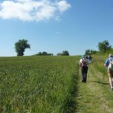 Groupe de randonneurs sur un chemin de randonnée avec leur guide dans le Gers lors d'un séjour de découverte du patrimoine et de la gastronomie