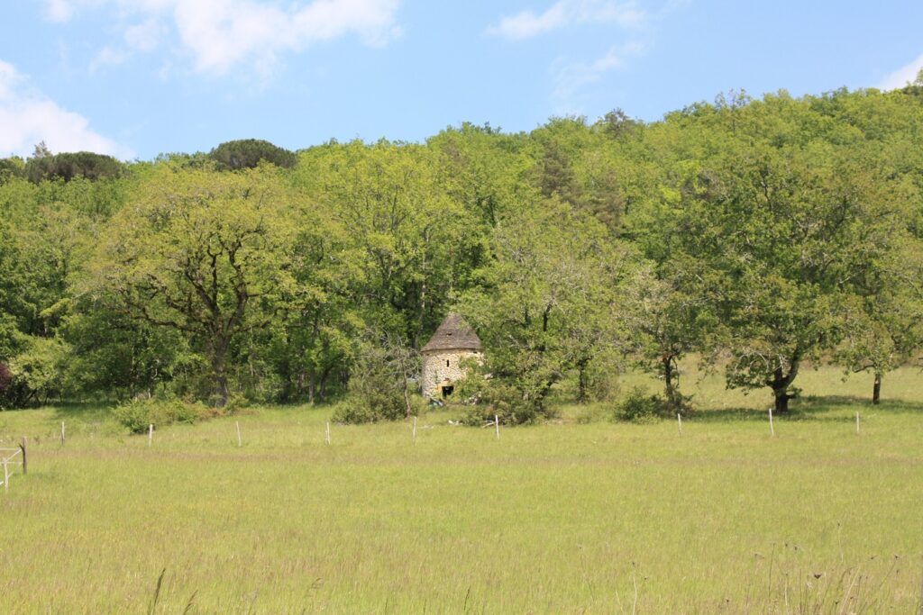Paysage de campagne en Périgord avec des arbres et un plateau d'herbe, avec une petite maison cachée dans les arbres