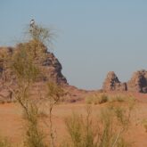 Paysage en Jordanie avec en fond des reliefs de montagne encadrés de plaines de sable