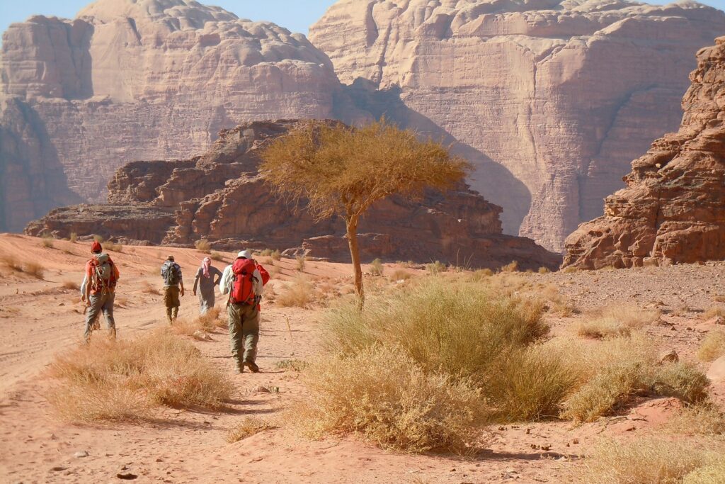 Groupe de randonneurs avec leur guide sur un sentier de sable en Jordanie, entouré de quelques arbustes, avec en fond des montagnes