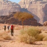 Groupe de randonneurs avec leur guide sur un sentier de sable en Jordanie, entouré de quelques arbustes, avec en fond des montagnes