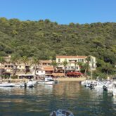 Paysage d'un petit village coloré encadré d'arbres et de forêt, avec la mer au pied des maisons