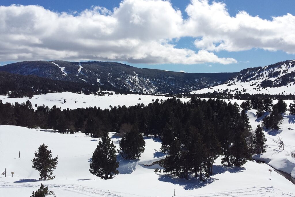 Paysage de montagne avec des sommets en fond, un paysage hivernal couvert de neige, et une forêt en contrebas