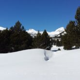 Paysage hivernal dans le capcir encadré de forêts et d'arbres de part et d'autre observé lors d'un séjour en raquettes