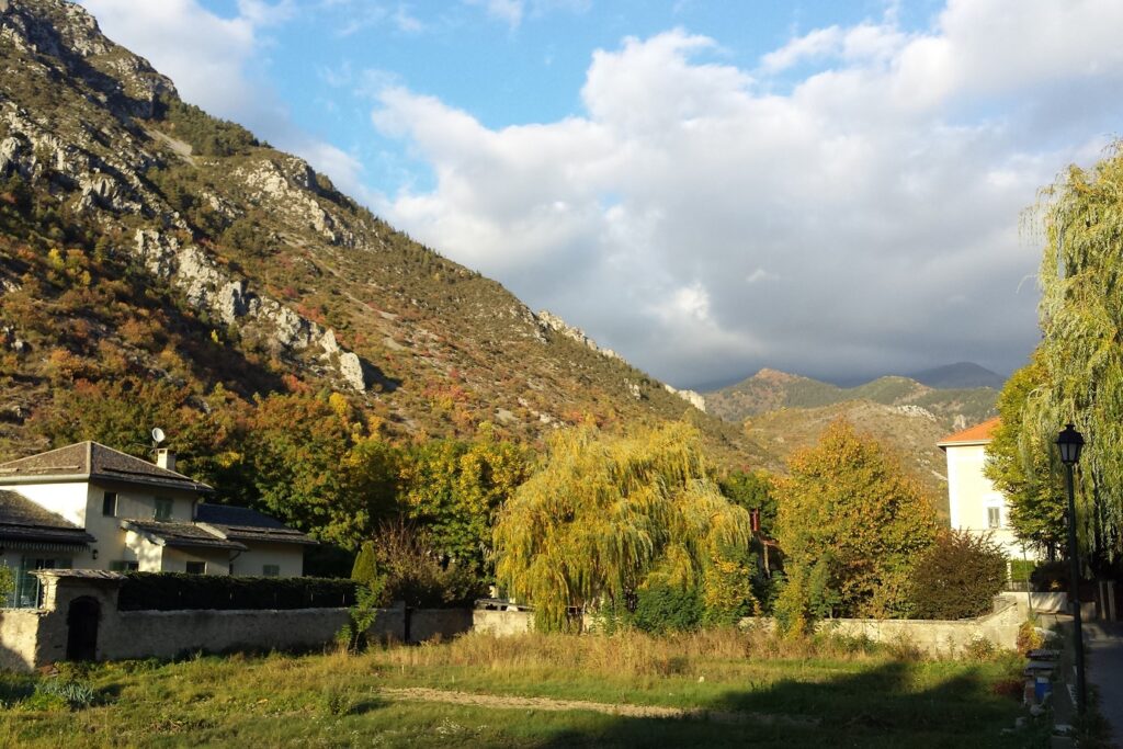 Paysage de montagne avec au premier plan des arbres et de la végétation, et plus loin des sommets couverts de végétations de plusieurs couleurs