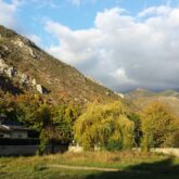 Paysage de montagne avec au premier plan des arbres et de la végétation, et plus loin des sommets couverts de végétations de plusieurs couleurs