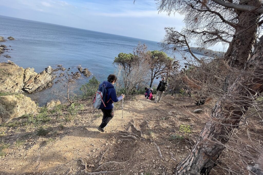 Groupe de randonneurs sur un sentier de randonnée avec la mer en contrebas lors d'un séjour de randonnée pour le réveillon à Banuyls