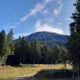 Paysage estival dans le Vercors avec des arbres sur un plateau avec de l'herbe et en fond un sommet
