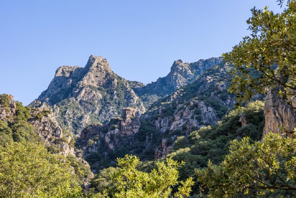 Paysage de montagne dans le Caroux avec au pied de ces derniers une végétation dense sous un soleil estival