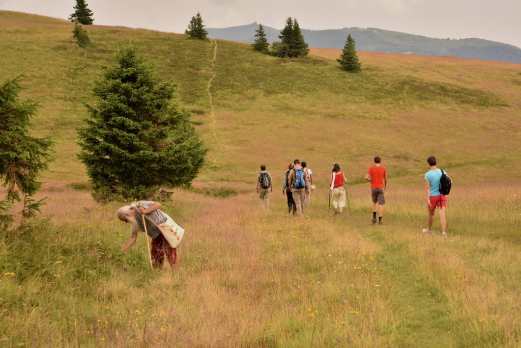 Groupe de randonneurs sur un sentier de randonnée dans les Hautes Vosges dans un champ encadré d'arbres de part et d'autre