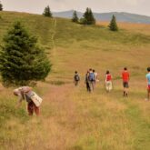 Groupe de randonneurs sur un sentier de randonnée dans les Hautes Vosges dans un champ encadré d'arbres de part et d'autre
