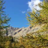 Paysage de montagne encadré par des arbres aux couleurs vertes et jaunes, avec en fond divers sommets