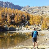 Randonneur face à un lac dans le Mercantour, avec face à lui une forêt surplombée par des montagnes